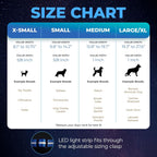 ' Safety LED Dog Collar – USB Rechargeable with Water Resistant Flashing Light