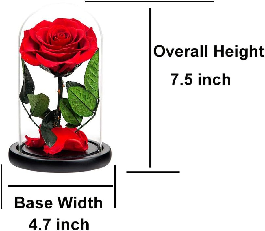 Preserved Rose Red Rose in Glass Dome Real Roses Preserved Flowers, Valentines Day Gifts for Her Birthday Gifts for Wife Mother'S Day Gifts Christmas Day Gifts