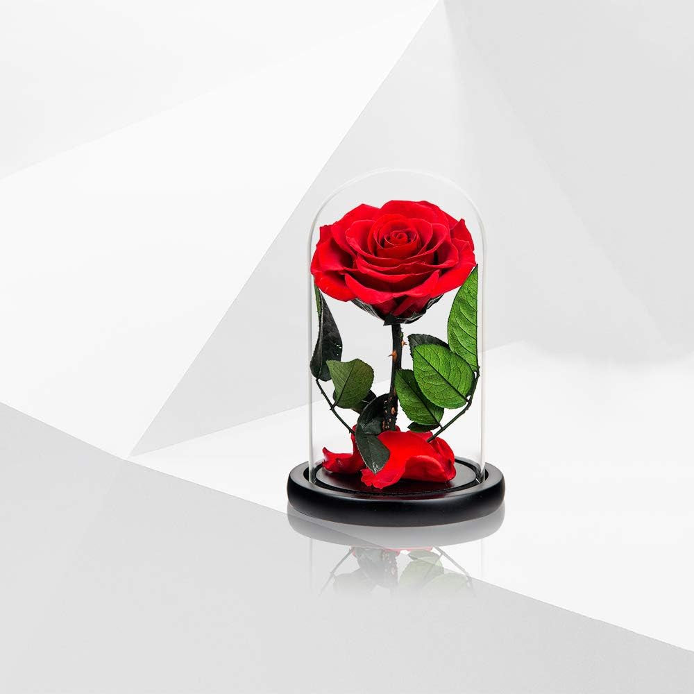 Preserved Rose Red Rose in Glass Dome Real Roses Preserved Flowers, Valentines Day Gifts for Her Birthday Gifts for Wife Mother'S Day Gifts Christmas Day Gifts