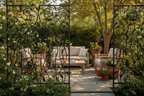 Backyard Garden