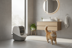 Bathroom Setting