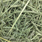 Animal Health Western Timothy Hay - All Natural Hay for Rabbits, Guinea Pigs, Chinchillas, Hamsters & Gerbils -Veterinarian Recommended- Grown in the USA-90 Oz.