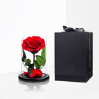Preserved Rose Red Rose in Glass Dome Real Roses Preserved Flowers, Valentines Day Gifts for Her Birthday Gifts for Wife Mother'S Day Gifts Christmas Day Gifts