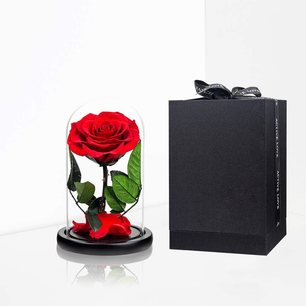 Preserved Rose Red Rose in Glass Dome Real Roses Preserved Flowers, Valentines Day Gifts for Her Birthday Gifts for Wife Mother'S Day Gifts Christmas Day Gifts