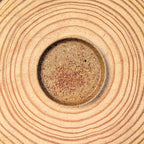 Ficus 'Fig Tree' Seeds